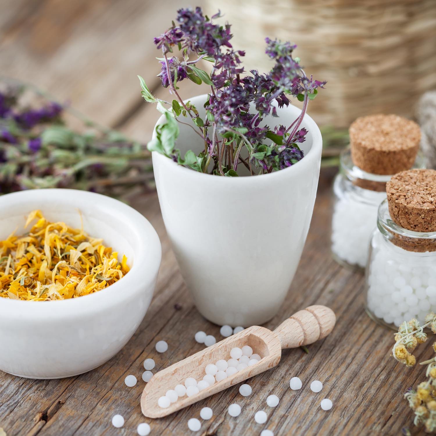 Homéopathie Pharmacie Nouvelle de la Vanille